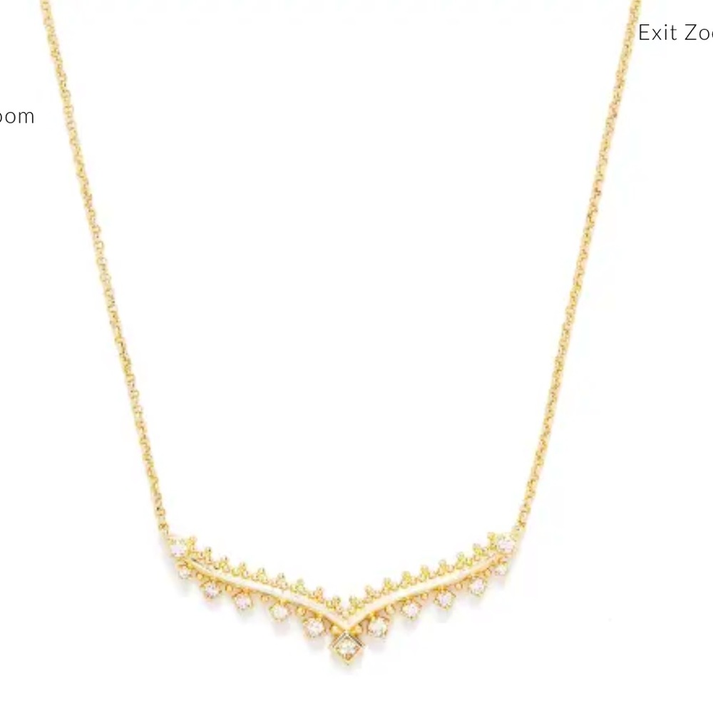 Kendra Scott Pave Necklace